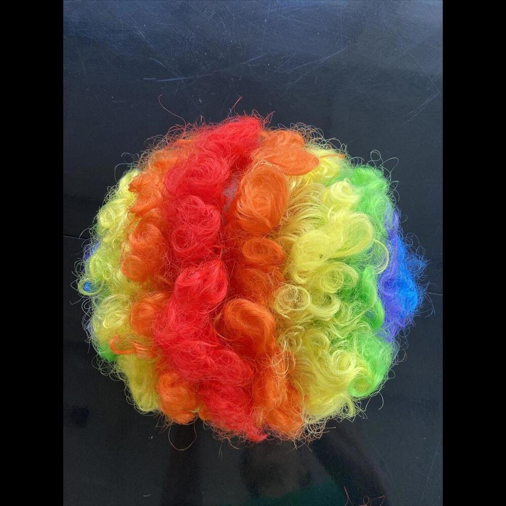 RUBIE'S Child Adult Multi-Color Rainbow Striped Clown Afro Wig Costume Circus